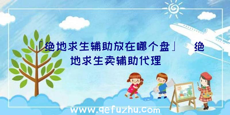 「绝地求生辅助放在哪个盘」|绝地求生卖辅助代理
